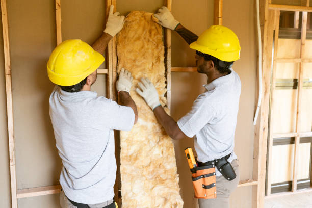 Best Blown-In Insulation  in Elliston, VA